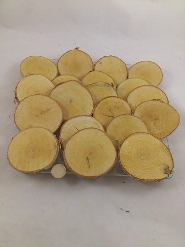 Birch (disks) 7-9 cm 20 p.